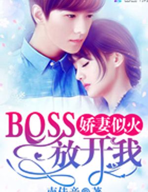 Kiều Thê Như Lửa: Boss, Buông Ta Ra